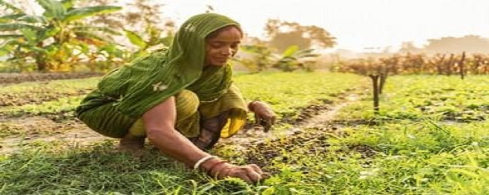 She Is The Farmer