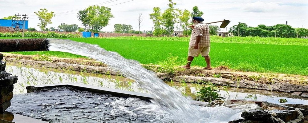 Thirsty Fields