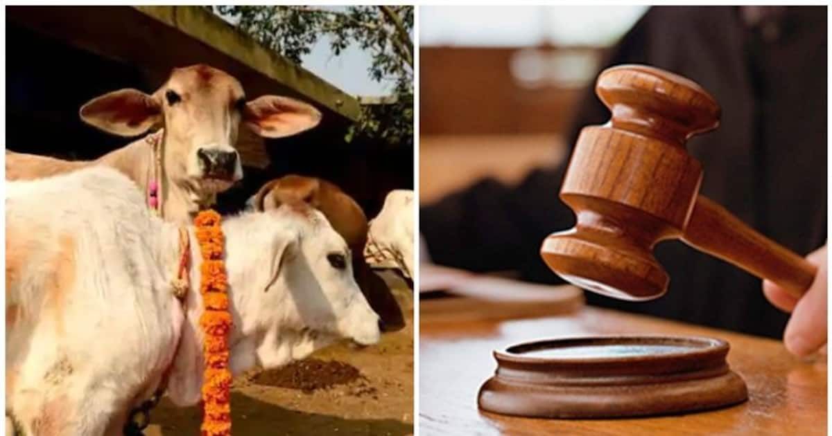 Either Slaughter Cows Or Slaughter 3 Muslims