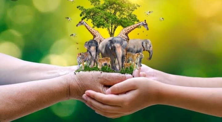 When Wildlife Needs Us Less