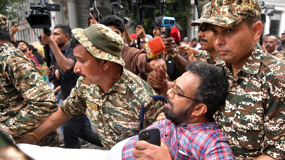 Neck Grabbed, Democracy Choked