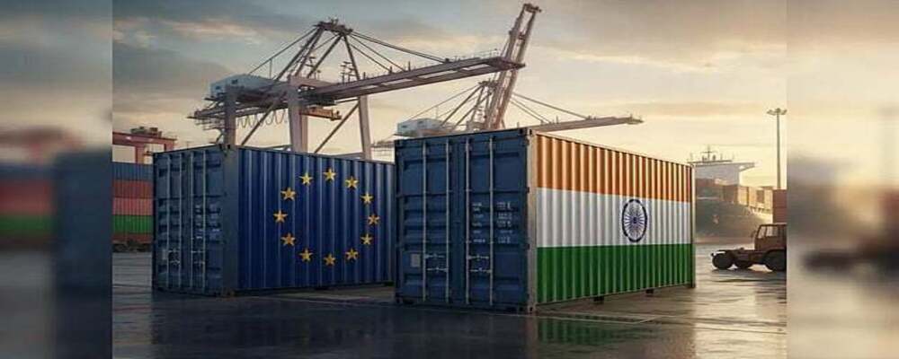 The 1.64 Million Tonne Bargain 