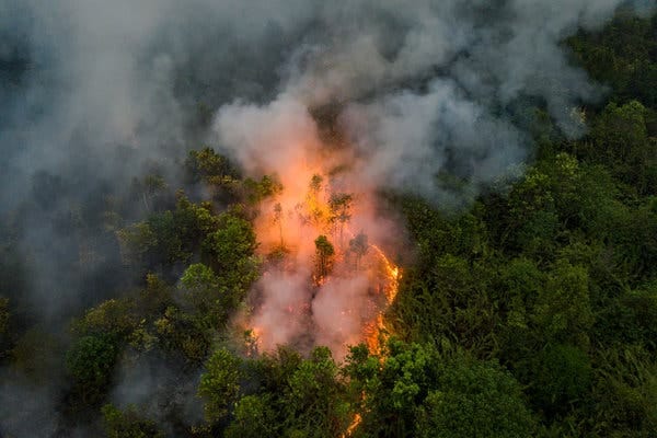 When The Sky Turned Red In Borneo
