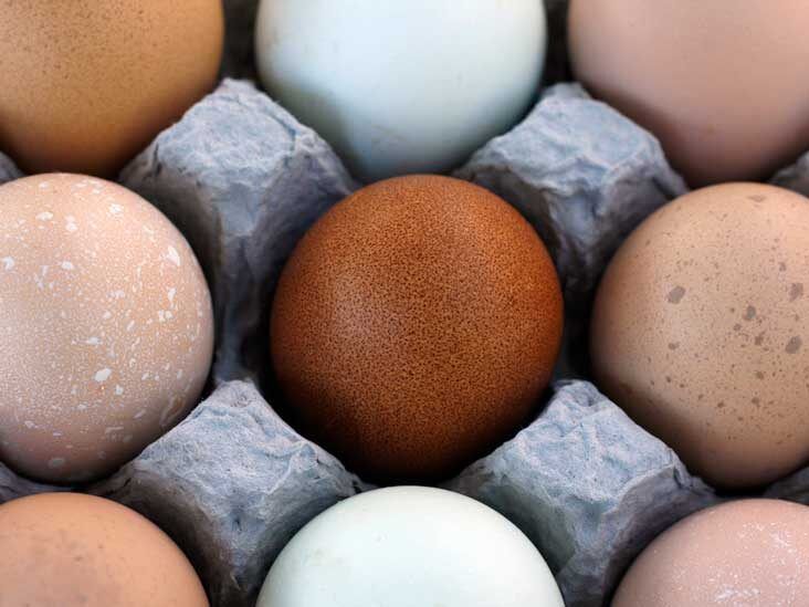 The Egg Price Puzzle