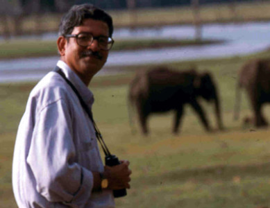 When Elephants Self - Prescribe 