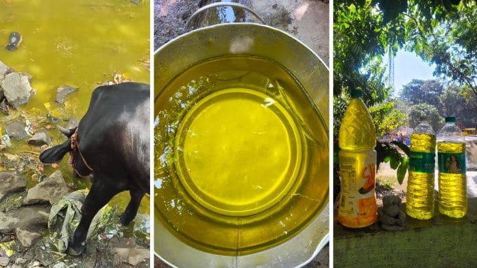 Nashik's Yellow Water — 1000x Chromium Before Kumbh