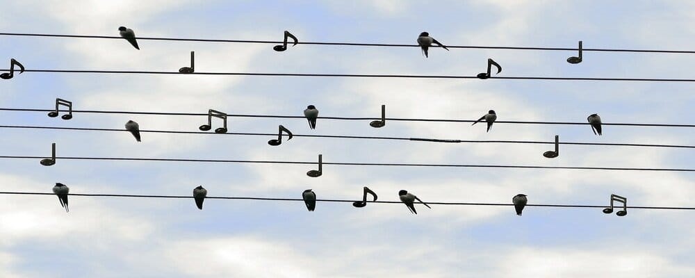 Eight Notes To Rule Them All